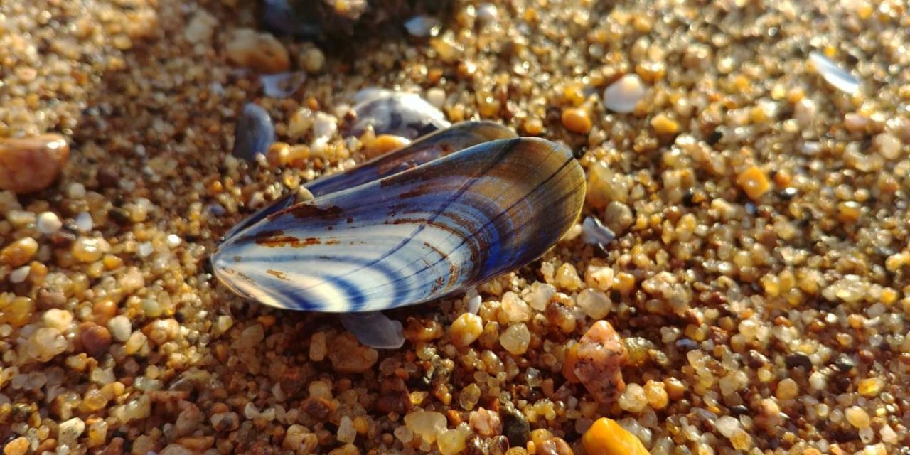 Chambre d'hôtes près de la plage Pornichet Esterno foto